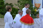 bozecialo201433