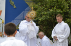bozecialo201435